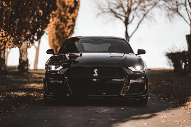 Kaszinó Golden Palace Android/iOS Alkalmazás